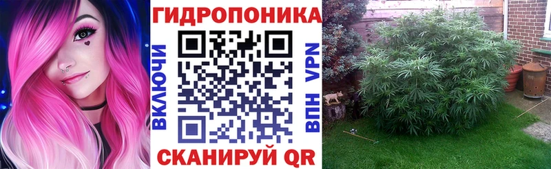Магазин наркотиков Ясный omg зеркало Каннабис КОКАИН Меф мяу мяу Гашиш A PVP