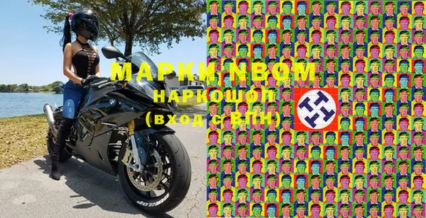 дмт Алзамай