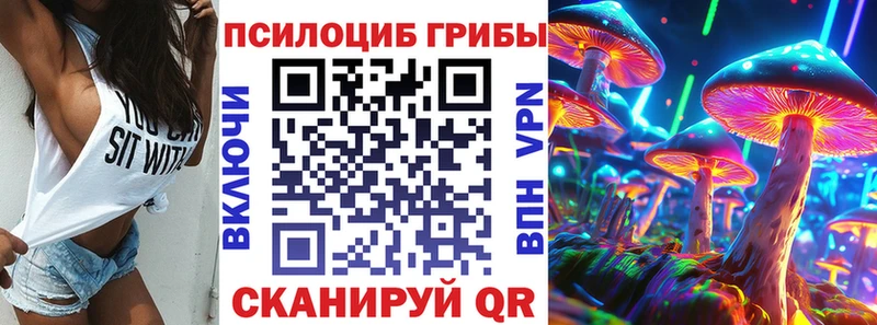 блэк спрут рабочий сайт  Ясный  Галлюциногенные грибы Psilocybine cubensis 