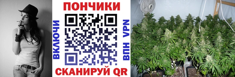 Шишки марихуана SATIVA & INDICA  Ясный 